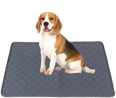 TOVBMUP Puppy Trainingsmat - Puppy Training Pads - Honden Toilet - Waterdicht Wasbaar en herbruikbaar - 70 x 50 cm - Grijs
