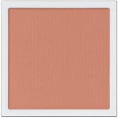 ADDICTION - The Single Eyeshadow Matte 010M Same School