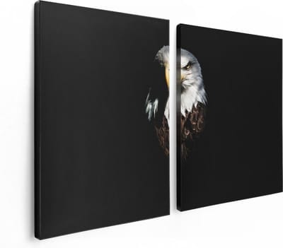 Artaza Canvas Schilderij Tweeluik Adelaarkop - Adelaar - 120x80 - Foto Op Canvas - Canvas Print