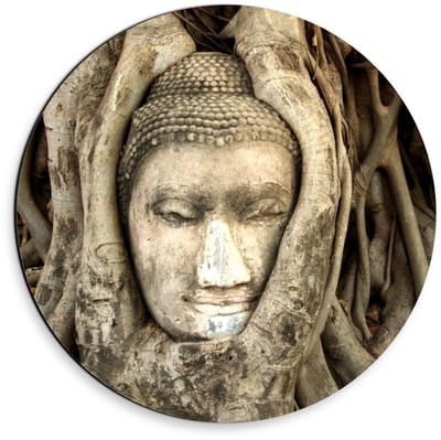 Dibond Wandcirkel - Buddhahoofd in Boomstronk - 30x30cm Foto op Aluminium Wandcirkel (met ophangsysteem)