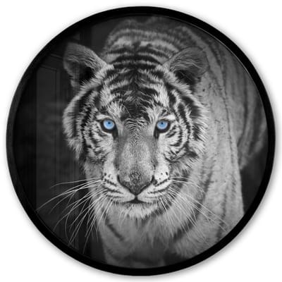 Poster in lijst Rond - Fotolijst 40x40 cm - Posters - Tijger - Dier - Zwart - Blauw - Modern - Ronde posterlijst zwart - Decoratie - Wanddecoratie woonkamer - Muurdecoratie slaapkamer