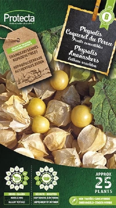 Protecta Groente zaden: Physalis ananaskers