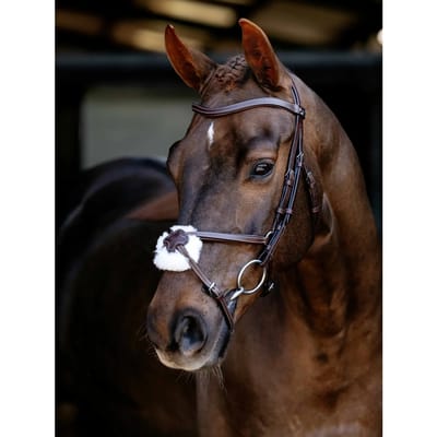 Hoofdstellen voor paarden LeMieux