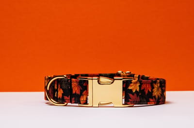 Awesome Paws Herfst collectie Halsband Hond - Honden Halsband Herfst Collectie - Handgemaakte Halsbanden Voor De Hond - Oranje Bruin Bladeren | Maat L