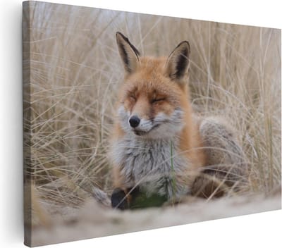 Artaza Canvas Schilderij Vos - 60x40 cm - Wanddecoratie Dieren - Muurdecoratie Duinen - Schilderijen Op Canvas