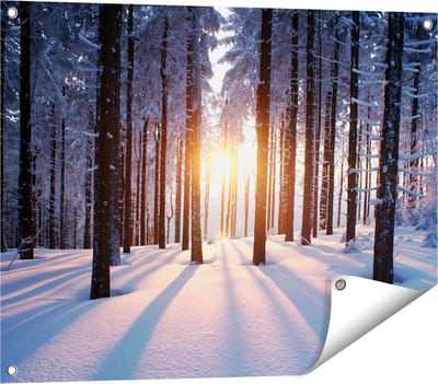 Gards Tuinposter Bos met Sneeuw tijdens de Zonsondergang - 80x60 cm - Tuindoek - Tuindecoratie - Wanddecoratie buiten - Tuinschilderij
