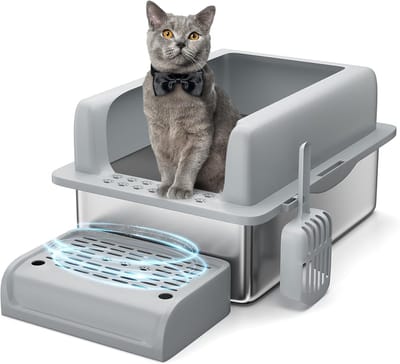 RVS Kattenbak 60x40x35 cm - Hoge Randen, Uitstapplatform & Schepje – Roestvrijstalen Katten Toilet voor Grote Katten & Meerdere Katten – Makkelijk Schoon te Maken
