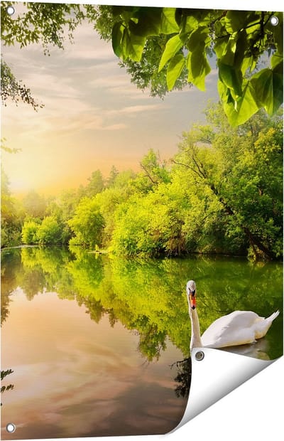 Gards Tuinposter Zwaan op het Water in het Bos - 60x80 cm - Tuindoek - Tuindecoratie - Wanddecoratie buiten - Tuinschilderij