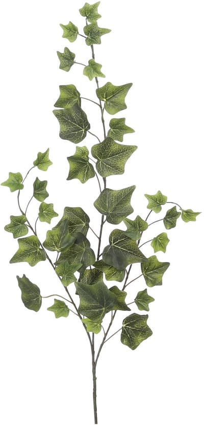 Mica Decorations Kunstplant takken Hedera - H63 cm - groen - kunststof - bladgroen - siertakken - klimop