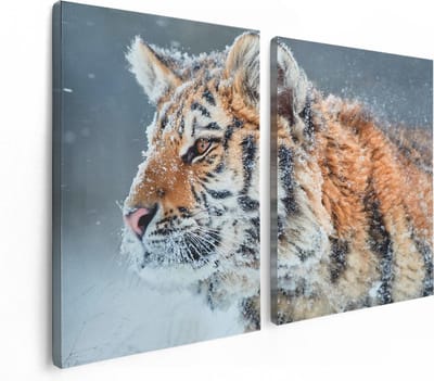 Artaza Canvas Schilderij Tweeluik Tijger Tijdens De Sneeuw - 120x80 - Foto Op Canvas - Canvas Print