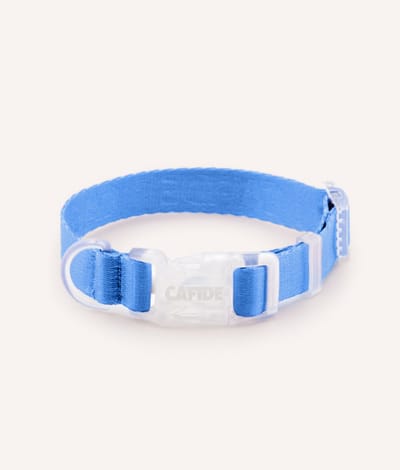 Comfortabele hondenkraag – Blauw – Verstelbaar & zacht – Ona