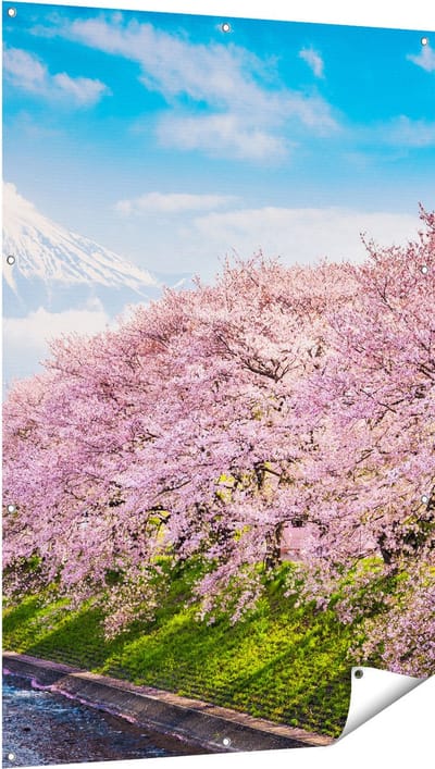 Gards Tuinposter Roze Bloesembomen bij de Fuji Berg - 100x150 cm - Tuindoek - Tuindecoratie - Wanddecoratie buiten - Tuinschilderij