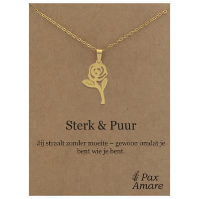 Stainless Steel Roos ketting op Cadeau Kaartje - Sterk & Puur - 45cm Zilverkleurig Roestvrij Staal - Pax Amare