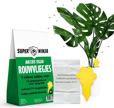 Super Ninja Combipakket Tegen Rouwvliegjes Bestrijden - 5 Miljoen Aaltjes & 10 Gele Sticky Vallen - Complete Biologische Bestrijding voor Binnen