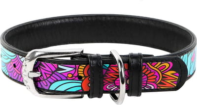 WAUDOG Summer Halsband / Hondenhalsband - Echt Leder - Zwart - Full Colour Print - Breedte: 15 mm - Nekomtrek: 27 - 36 cm (GELIEVE ALVORENS BESTELLEN OPMETEN)