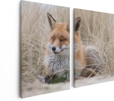 Artaza Canvas Schilderij Tweeluik Vos in de Duinen  - 80x60 - Foto Op Canvas - Canvas Print