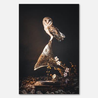 Poster op papier - 40 x 60 cm - Uil op grammofoon met bloemen - PosterJunkie