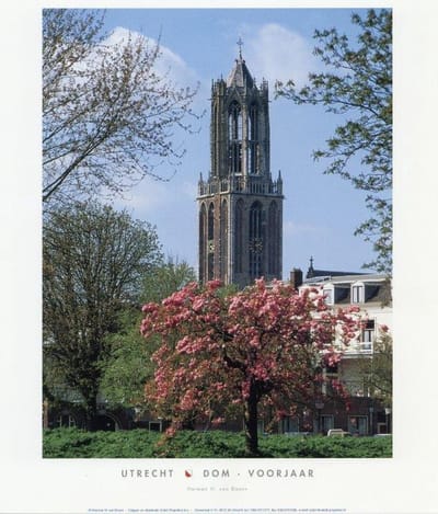 Dom (voorjaar) - Herman van Doorn - Utrechtse Poster - 24 x 30 cm