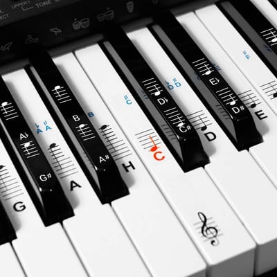 Muziekstickers voor Piano en Keyboard - Leer Muzieknoten Makkelijk - Geschikt voor 49, 61, 76, 88 Toetsen - Voor Witte en Zwarte Toetsen