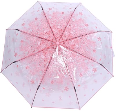 Dailygoods- Paraplu Transparant - Opvouwbaar - Kersenbloesem Patroon - Duurzaam - Lichtgewicht - Robuuste Handgreep - Regenbescherming