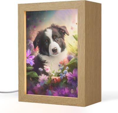 Nachtlampje 15x20 cm - Kinder lampje - Puppy - Zon - Bloemen - Natuur - Bordercollie - Hond - Tafellamp kinderkamer - Slaapkamer lamp - Bedlamp kinderen - Kinderlampje stopcontact - Wandlamp babykamer - Nachtlampjes
