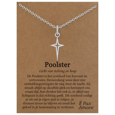 Poolster Ketting op Cadeau Kaartje Zilverkleurig - Polaris Hanger - Roestvrij Staal / Stainless Steel - 45cm + 5cm verstelbaar - Pax Amare