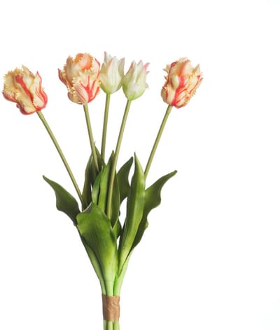 Parrot kunst tulpen boeket van 5 White/Red parrot kunsttulpen-Real Touch Parrot Tulip x5 L40cm White/Red