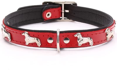 Dog's Companion Leren Halsband - Teckel - Lengte: Lengte: 30 cm Verstelbaar van 26-31 cm x 16 mm - Rood / Zwart