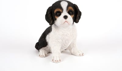 zittende  King Charles