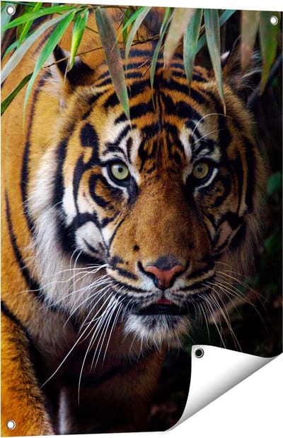 Gards Tuinposter Tijger in de Jungle - 60x80 cm - Tuindoek - Tuindecoratie - Wanddecoratie buiten - Tuinschilderij