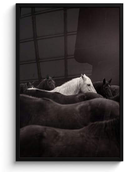 Poster in lijst - Fotolijst 60x90 cm - Posters - Paarden - Zwart - Wit - Kudde - Posterlijst zwart - Decoratie - Wanddecoratie woonkamer - Muurdecoratie slaapkamer