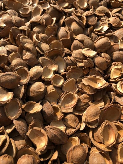 Abrikozen shells - Nocciolo - 40 liter - Bodembedekker - Alternatief cacaodoppen - Boomschors - Houtsnippers - Langere levensduur