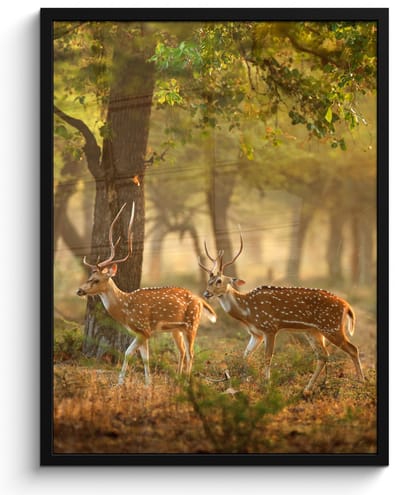 Poster in lijst - Fotolijst 50x70 cm - Posters - Herten - Bos - Herfst - Bosdieren - Natuur - Hert - Posterlijst zwart - Decoratie - Wanddecoratie woonkamer - Muurdecoratie slaapkamer