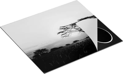 Chefcare Inductie Beschermer Zonsondergang Achter een Acacia Boom - Zwart Wit - 60x50 cm - Afdekplaat Inductie - Kookplaat Beschermer - Inductie Mat