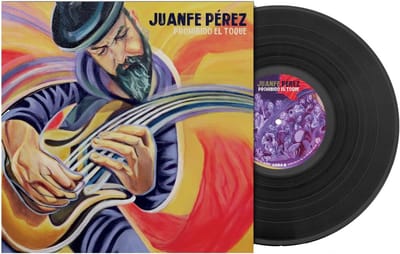 Muziek Vinyl - LP Plaat - Luisterplezier - Originele Persing - 31cm Diameter - Zwart