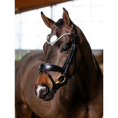 LeMieux Kudos Anatomisch Dressuurhoofdstel Cob Zwart/Zilver
