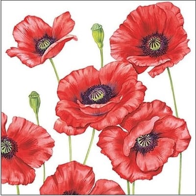 Klaprozen/poppy bloemen - 40x stuks - 33 x 33 cm - Papieren servetten 3-laags