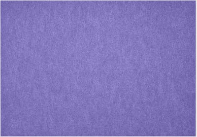 Daff Fiberixx Placemat - Gerecycled Materiaal - 31x42 cm - Viola