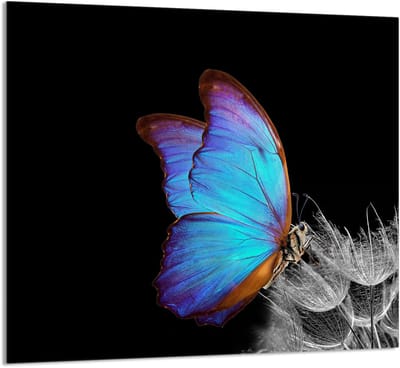 TMK ArtDeko Serie - Glazen Beschermpaneel - 65x60 cm - Motyl - Multifuntioneel