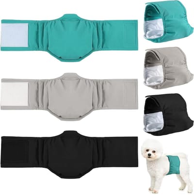 Mannelijke honden hygiënische slipje - verpakking van 3 luiers, waterdicht en absorberend - herbruikbaar - voor huisdieren buikbanden voor puppybuik incontinentie (M)