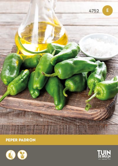 Peper Padron Zaden – Spaanse Tapas Peper – Mild tot Pittig – Snackpeper – Hoge Opbrengst – Voor Kas & Tuin – Tuin de Bruijn