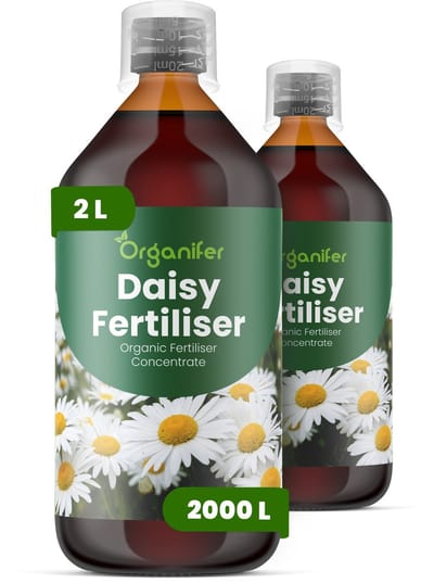 Vloeibare Meststof Voor Margriet 2X1 L Voor 2000 L - Npk 2-1-8 - Krachtige Groei - Rijke Bloei - Heldere Bloemen - Sterke Wortels -Continue Bloei- Betredingsbestendig - Kleurintensiteit - Langdurige Bloei - Herhaalde Bloeicycli - Organifer