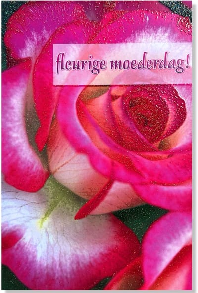 Moederdag Wenskaart Fleurige Moederdag Rozen- 12x17cm - Gevouwen kaart inclusief envelop - Moederdagkaart