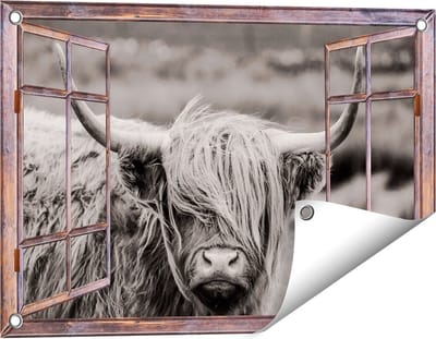 Gards Tuinposter Doorkijk Schotse Hooglander Koe - Zwart Wit - 60x40 cm - Tuindoek - Tuindecoratie - Wanddecoratie buiten - Tuinschilderij