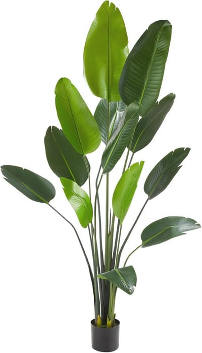 Kunst paradijsvogelplant - 180 cm hoge nepplant met realistische bladeren voor binnen