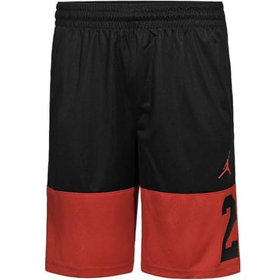 Short de basket-ball Jordan Color Block avec imprimé numéro 23 pour homme Noir 861466-013 S black