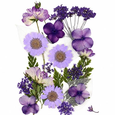 BOTC Natuurlijk Gedroogde Bloemen - Droogbloemen - Gedroogde Bloemen voor Resin DIY - 20 Stuks Natuurlijke Gedroogde Decoraties - Paars