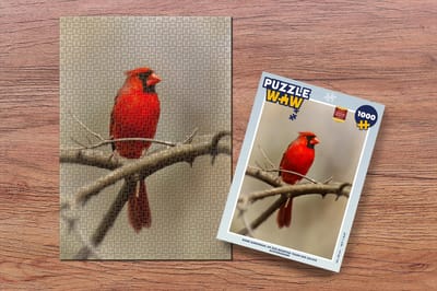 Puzzel Rode kardinaal op een boomtak tegen een zachte achtergrond - Legpuzzel - Puzzel 1000 stukjes volwassenen