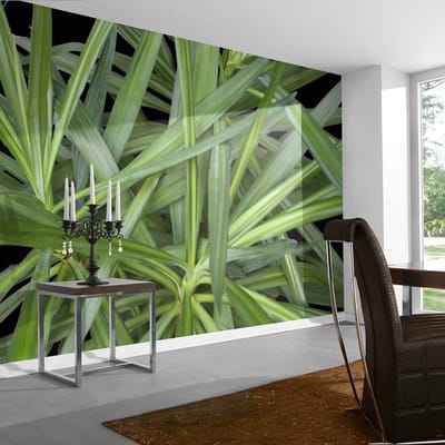 Fotobehang JunglePlant1 DD109150 A.S. Création AP Digital 4 | 3D Fotobehang