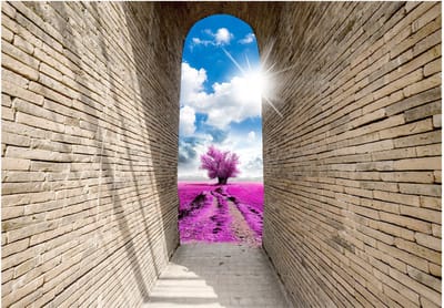 Fotobehangkoning - Behang - Vliesbehang - Fotobehang - Magical Passage - 3D - 150 x 105 cm
